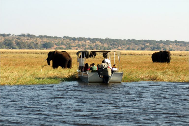 Zugreise durch Namibia - Safari - Elefanten