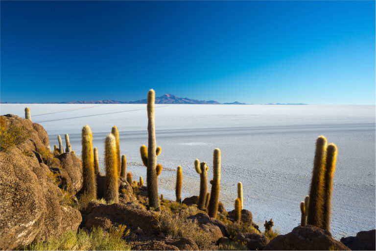 Salzwüste in den Anden
