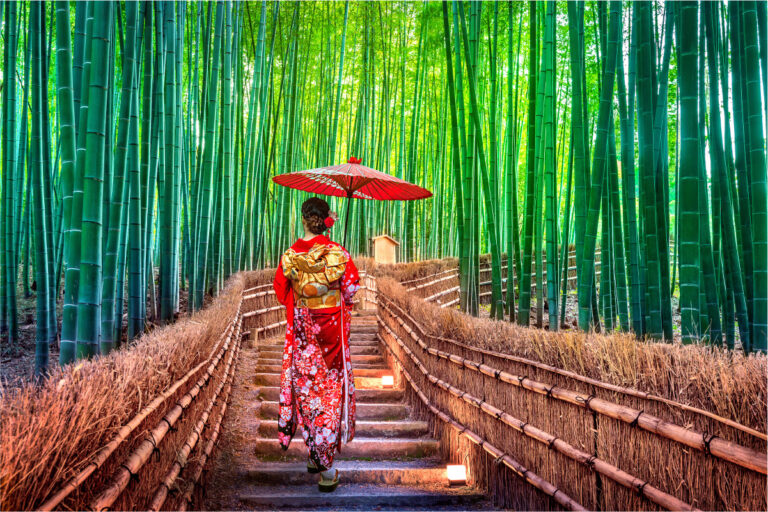 Japan, Bambuswald in Kyoto
