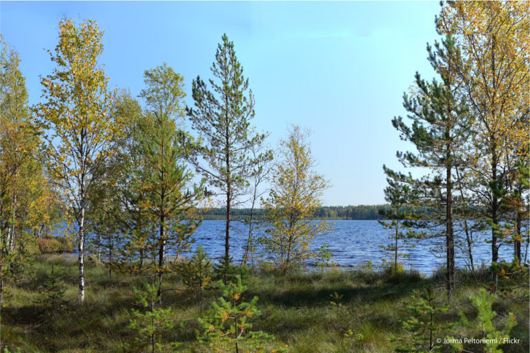 Finnland, Kurjenrahka-Nationalpark
