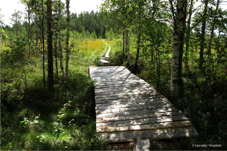 Finnland, Seitseminen-Nationalpark