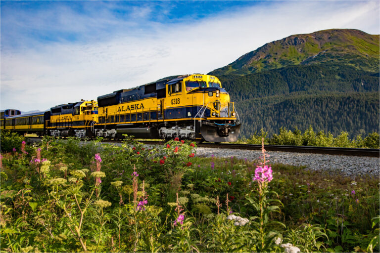 Kanada und Alaska, Denali Star Train