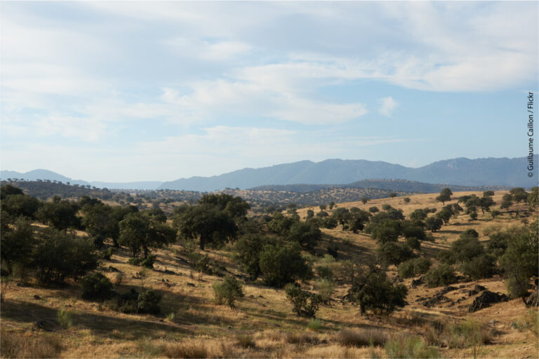 Spanien, Sierra Morena