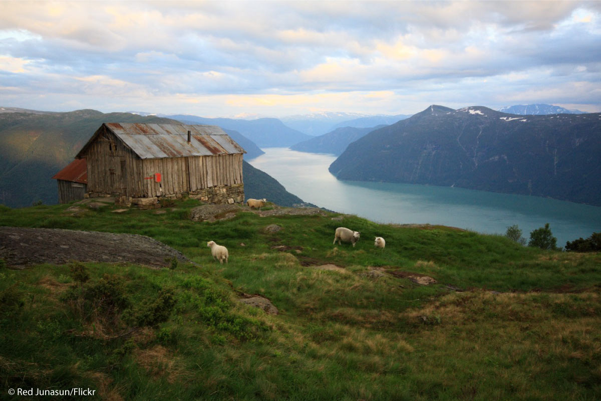 Norwegen, Sognefjord